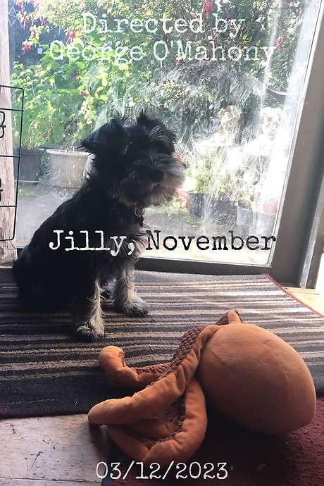 Jilly, November